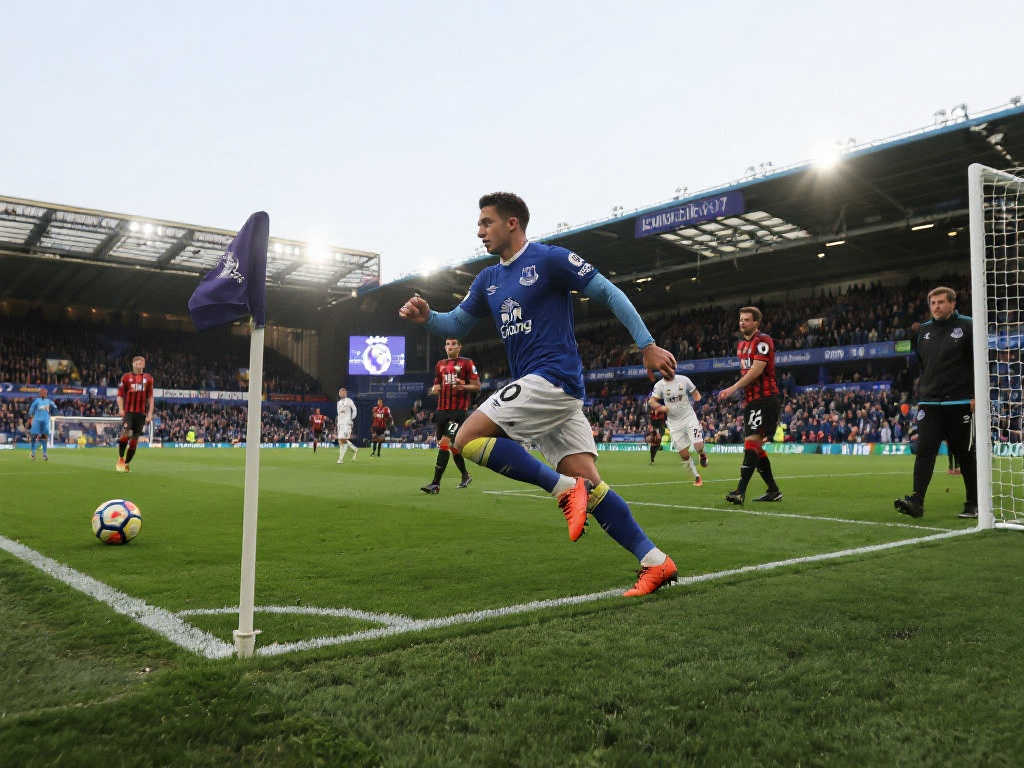 胡梅爾斯的 胡梅爾斯的